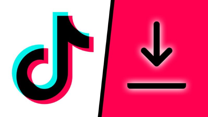 TikTok download apk và Top những điều thú vị mà bạn chưa biết