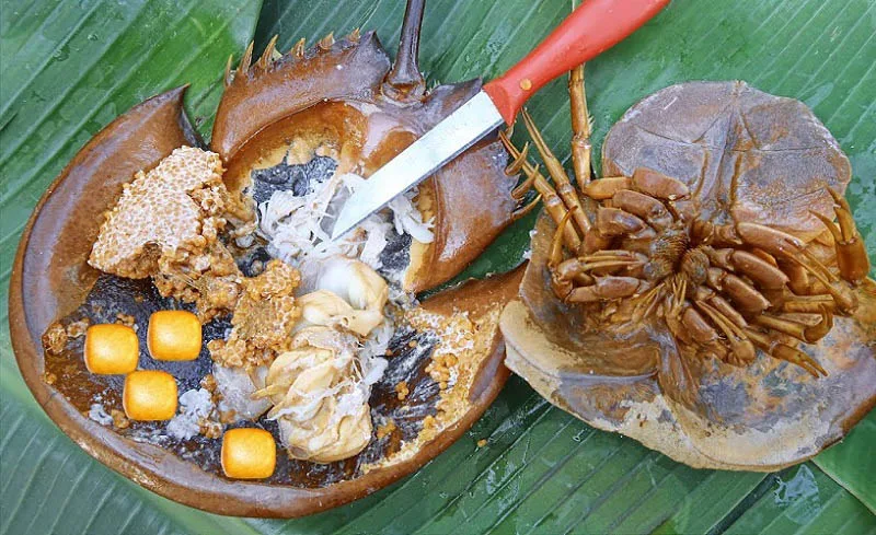 Ăn gì ở Hạ Long