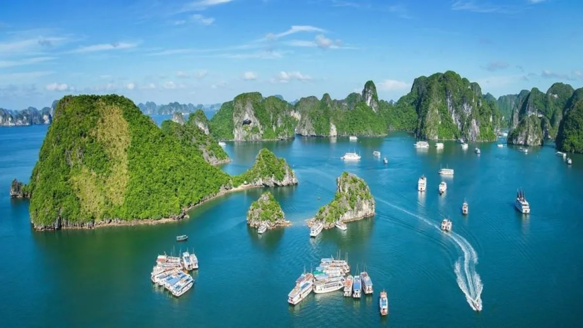 Ăn gì ở Hạ Long? Khám phá những món ngon nhất định phải thử