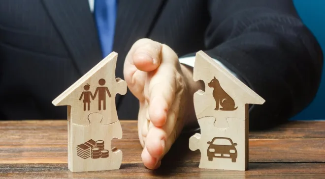 pháp luật vẫn đặc biệt quan tâm đến quyền và lợi ích hợp pháp của con chưa thành niên hoặc con đã thành niên nhưng mất khả năng lao động