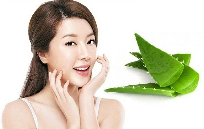 Gel nha đam tươi chứa nhiều thành phần giúp cấp ẩm, làm dịu và chăm sóc làn da tự nhiên