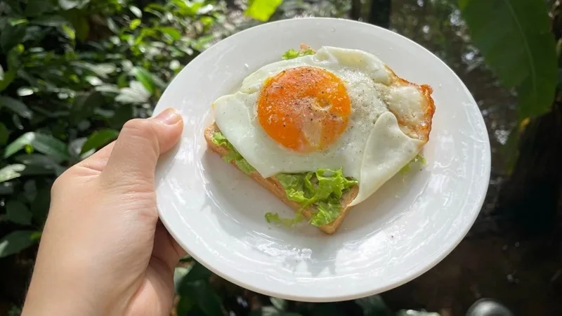 Bánh mì sandwich kẹp bơ và trứng ốp la là lựa chọn nhanh gọn, đủ chất cho ngày bận rộn.